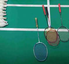 Image result for Feathers (New Milton) Badminton Club