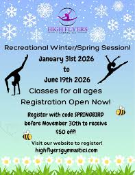 Image result for Hull High Flyers Gymnastics Club