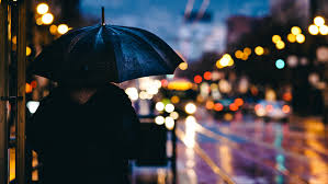 Image result for bokeh