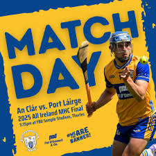 Image result for Clarehurlers