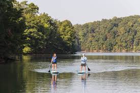 Image result for Caersws Quoits Club