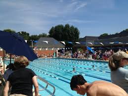 Image result for Rykneld Sharley Park Swimming Club