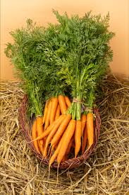 Image result for Möhren