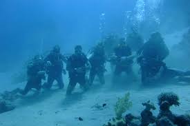 Image result for Wyndley Seals Snorkelling Club