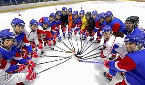 Image result for Ice Hockey International