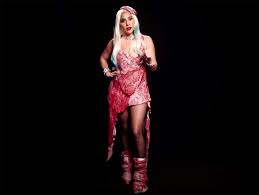 Image result for lady gaga meat dress