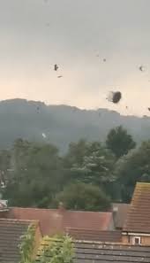 Image result for Luton Tornadoes