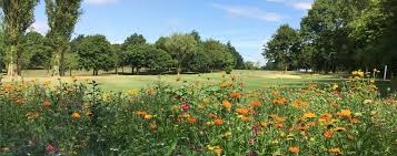 Image result for Scraptoft Golf Club