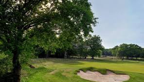 Image result for Brokenhurst Manor Golf Club