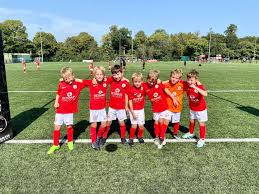Image result for Cobham Sports Association Ltd