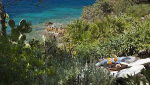 Image result for capo d'orso