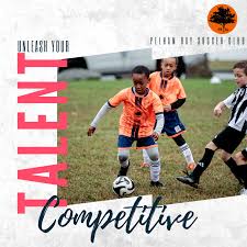 Image result for Pelham Korfball Club