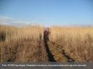 Impozitul pe terenurile agricole nelucrate