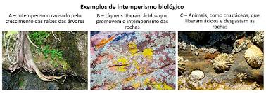 Image result for intemperismo