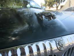 Image result for Anthracite 1997 Jaguar