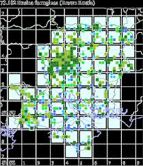 Attēlu rezultāti vaicājumam “Rusina ferruginea male”