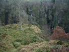 a good 250 feet above the - via Daymix