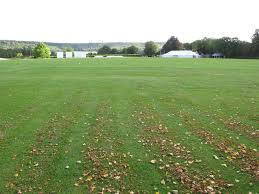Image result for Aston Rowant Cricket Club
