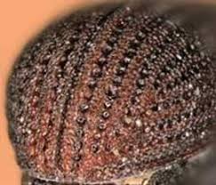 Attēlu rezultāti vaicājumam “Hylastes sp.”