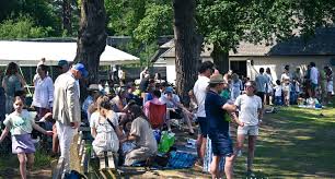 Image result for Blackheath Cricket Club