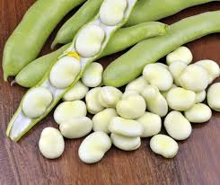 Image result for Dicke Bohnen