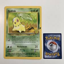 Image result for Endivie