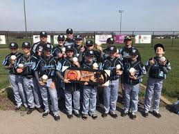 Image result for Sidewinders Baseball Club