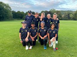 Image result for Ballinger Waggoners Cricket Club