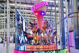 Image result for Blackpool Lights Basketball Club