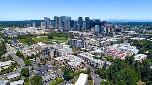 Image result for Bellevue