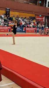 Image result for Kestrel Gymnastic Group
