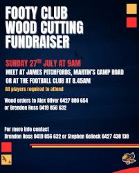 Image result for Brendon Bees Junior Football Club