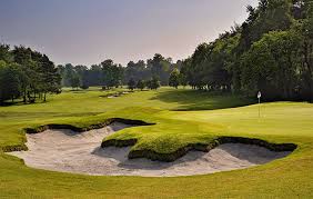 Image result for Effingham Cricket Club