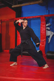 Image result for Plymouth Karate Club Kyokai