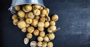 Image result for Lansongammon