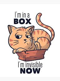 Image result for invisible cat