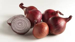 Image result for Zwiebeln