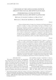 Attēlu rezultāti vaicājumam “Sciuro-hypnum curtum sporophyte”