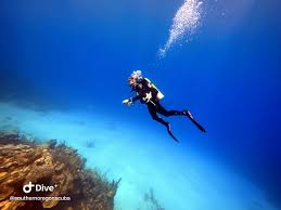 Image result for Southdown Divers
