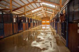 Image result for Annandale Equestrian Centre