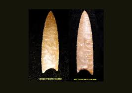 Image result for feuille-laurier-silex