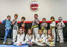 Image result for Hetton and Murton Karate Academy
