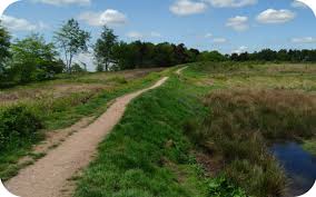 Image result for Cannock Cc