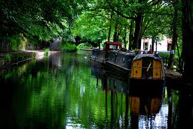 Image result for Oldham