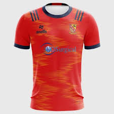 Image result for Moycarkey-Borris Gaa Club