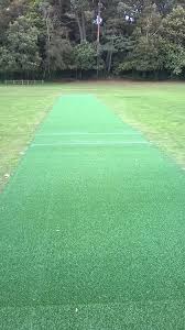 Image result for Broadstone Cricket Club