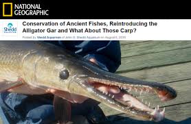 Image result for Garstang A S C