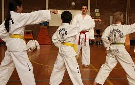 Image result for Addlestone Shotokan Karate Club