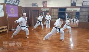 Image result for Zen Shin Seicho Do Adult Karate