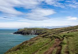 Image result for Padstow Sac